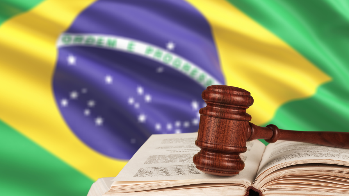 Brazilian constitution