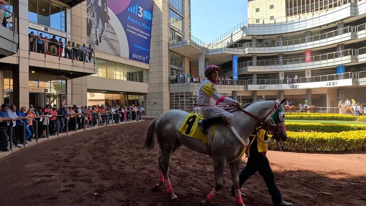 O SAT leiloa o Hipódromo de las Américas e 65 cassinos